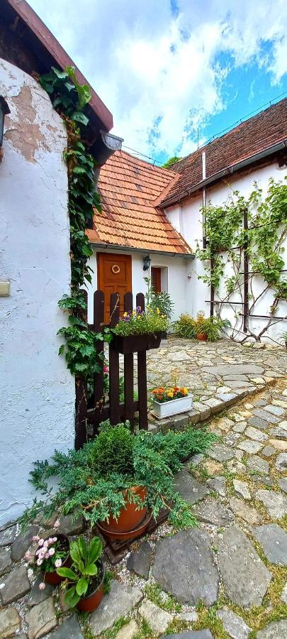 Penzion Merlin Cesky Krumlov Bagian luar foto