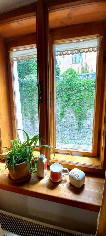Penzion Merlin Cesky Krumlov Bagian luar foto